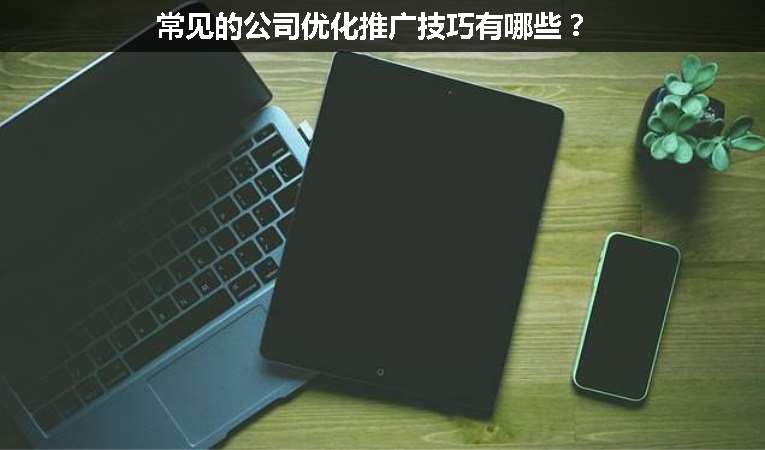 常見(jiàn)的公司優(yōu)化推廣技巧有哪些？